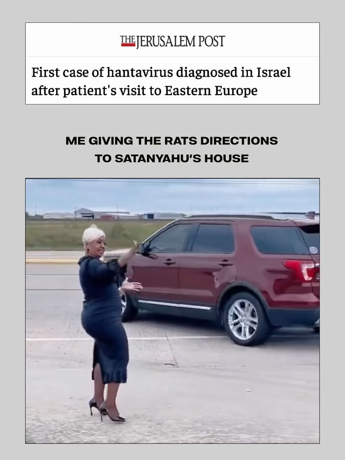 The Internet's Meme Magic on the MV Hondius Virus Drama