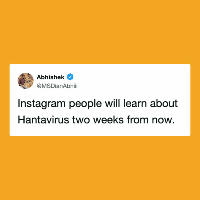The Internet's Meme Magic on the MV Hondius Virus Drama