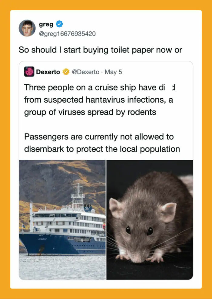 The Internet's Meme Magic on the MV Hondius Virus Drama