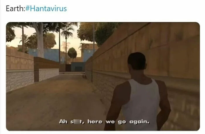 The Internet's Meme Magic on the MV Hondius Virus Drama