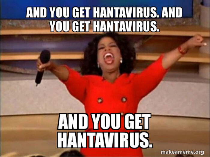 The Internet's Meme Magic on the MV Hondius Virus Drama