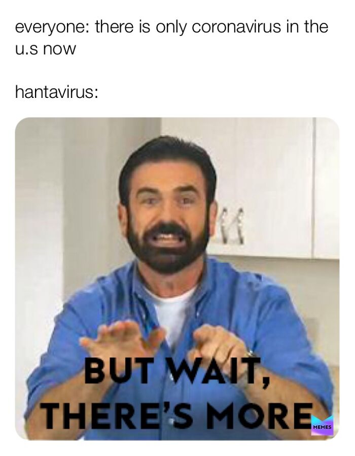 The Internet's Meme Magic on the MV Hondius Virus Drama