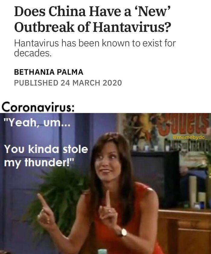 The Internet's Meme Magic on the MV Hondius Virus Drama