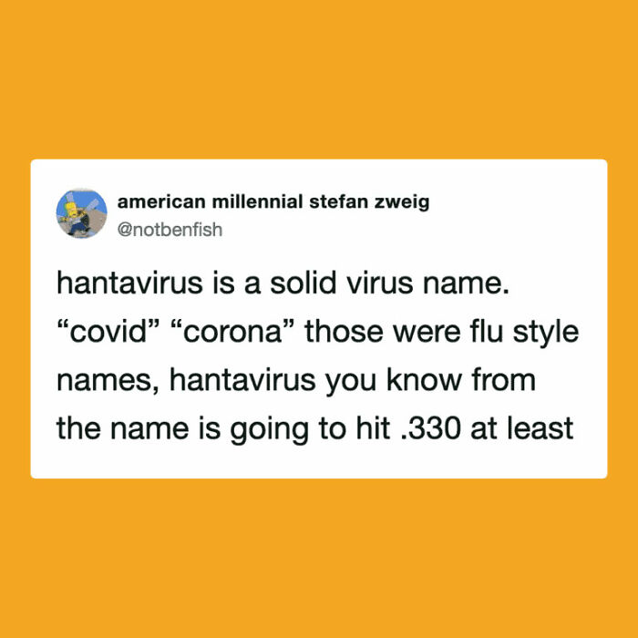 The Internet's Meme Magic on the MV Hondius Virus Drama