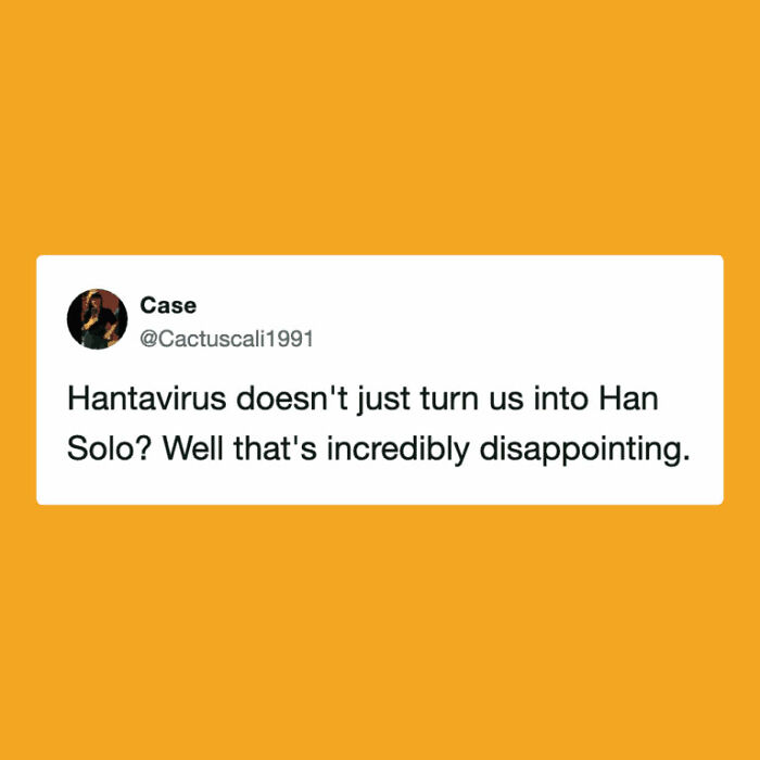 The Internet's Meme Magic on the MV Hondius Virus Drama