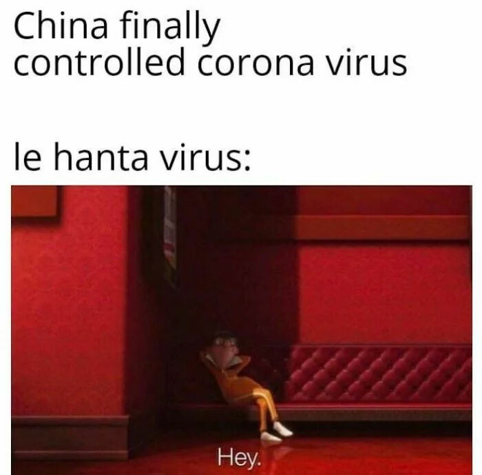 The Internet's Meme Magic on the MV Hondius Virus Drama