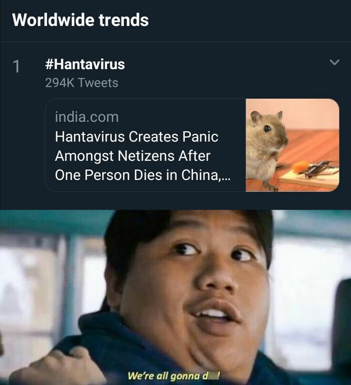 The Internet's Meme Magic on the MV Hondius Virus Drama