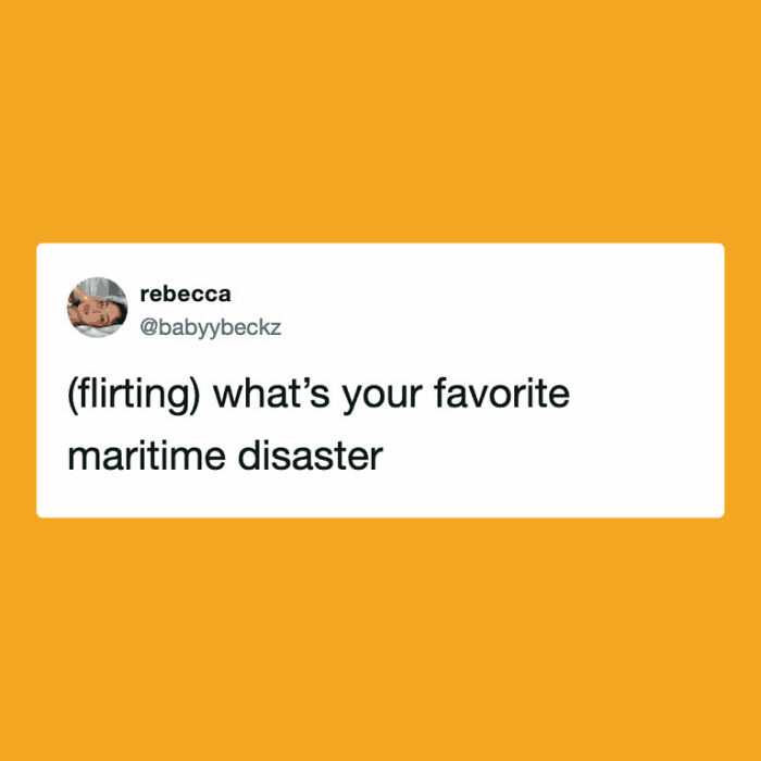 The Internet's Meme Magic on the MV Hondius Virus Drama