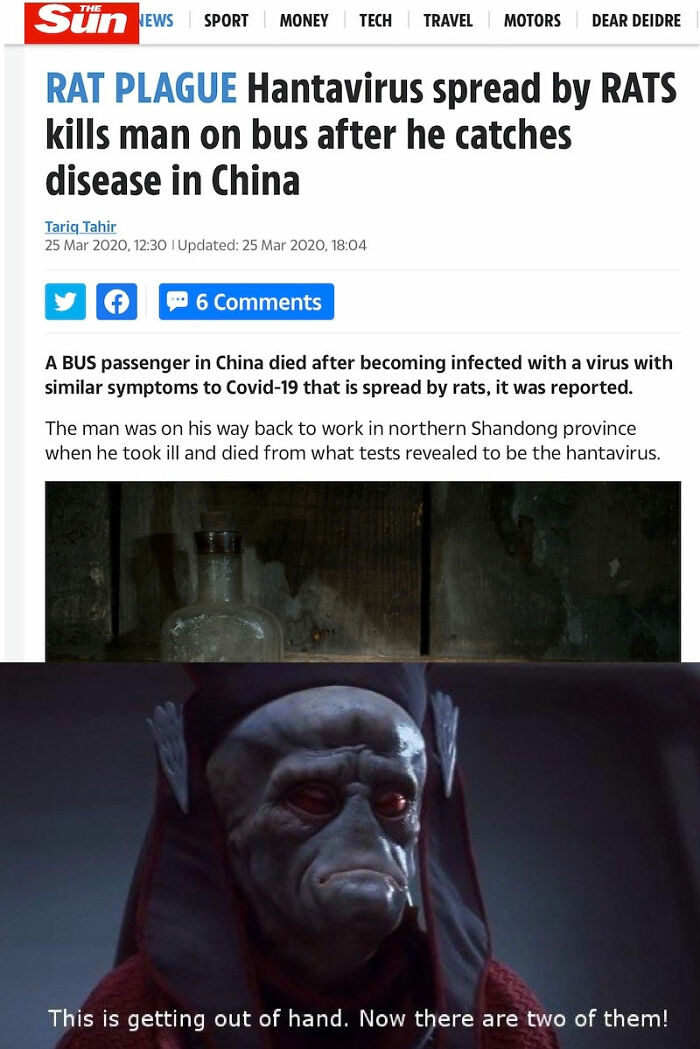 The Internet's Meme Magic on the MV Hondius Virus Drama