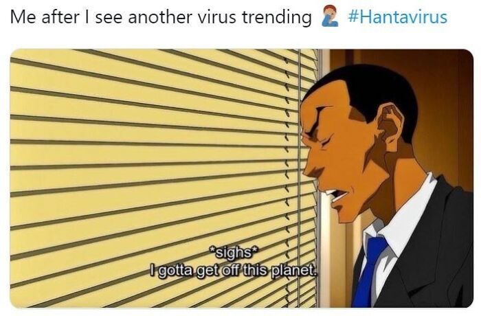The Internet's Meme Magic on the MV Hondius Virus Drama