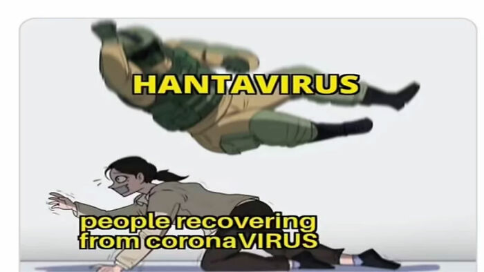 The Internet's Meme Magic on the MV Hondius Virus Drama