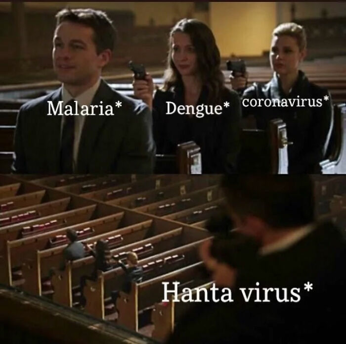 The Internet's Meme Magic on the MV Hondius Virus Drama