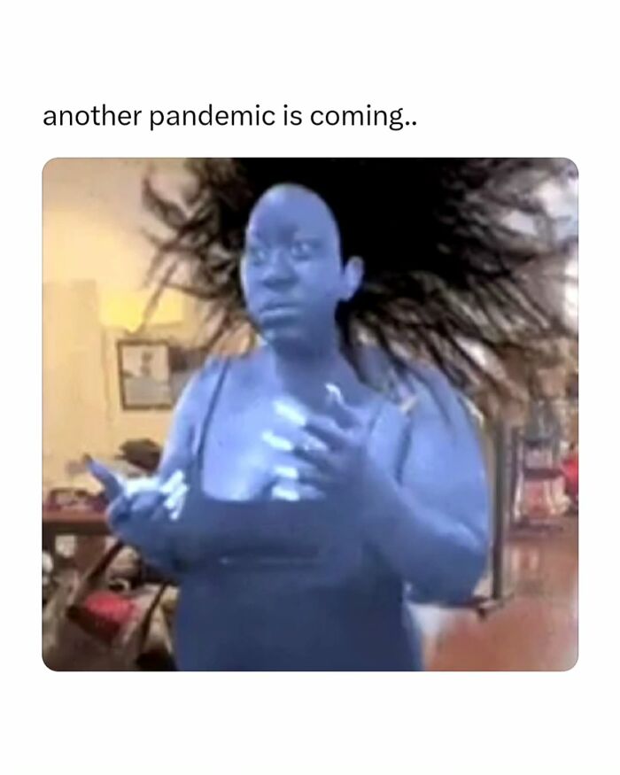 The Internet's Meme Magic on the MV Hondius Virus Drama