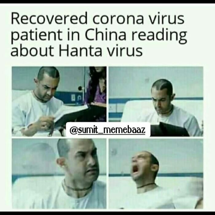 The Internet's Meme Magic on the MV Hondius Virus Drama