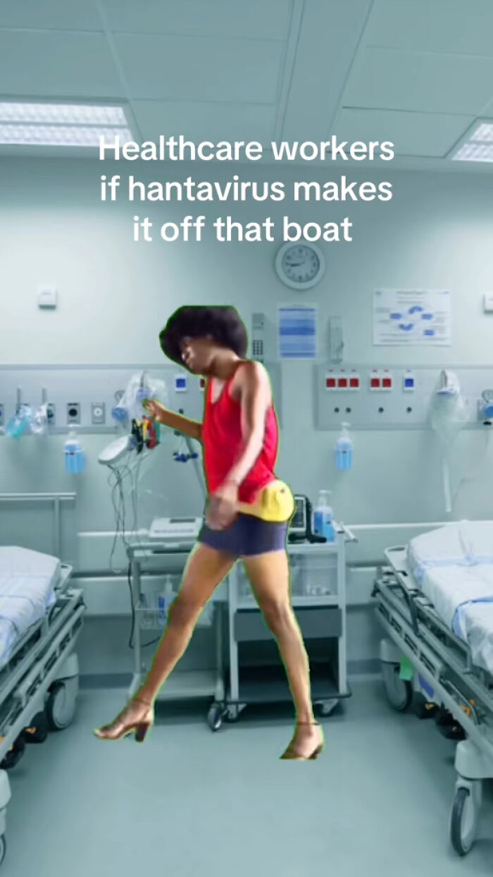 The Internet's Meme Magic on the MV Hondius Virus Drama