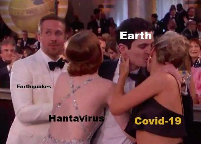 The Internet's Meme Magic on the MV Hondius Virus Drama