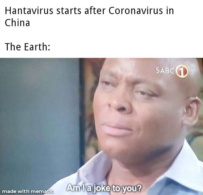 The Internet's Meme Magic on the MV Hondius Virus Drama