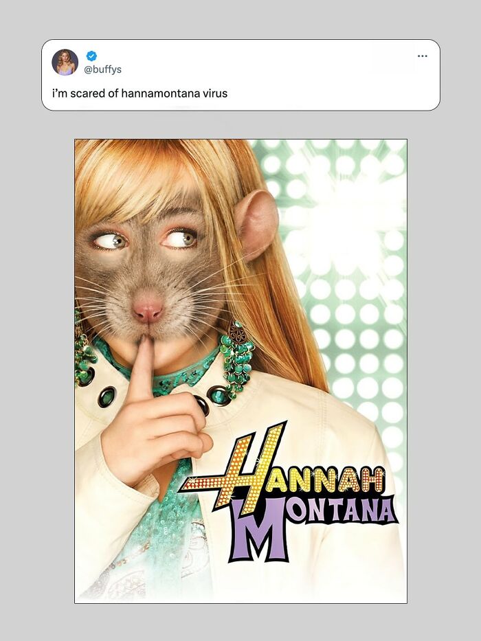 The Internet's Meme Magic on the MV Hondius Virus Drama