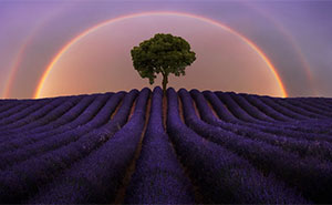 40 Mind-Blowing Panoramic Photos That Make Nature Look Like a Movie Set