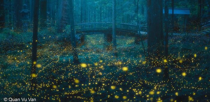 40 Mind-Blowing Panoramic Photos That Make Nature Look Like a Movie Set