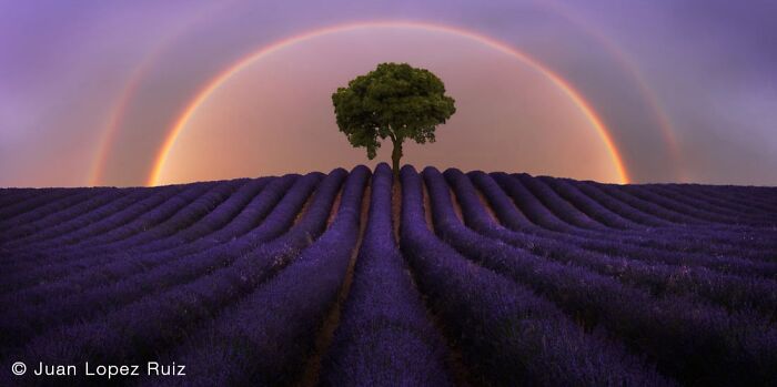 40 Mind-Blowing Panoramic Photos That Make Nature Look Like a Movie Set