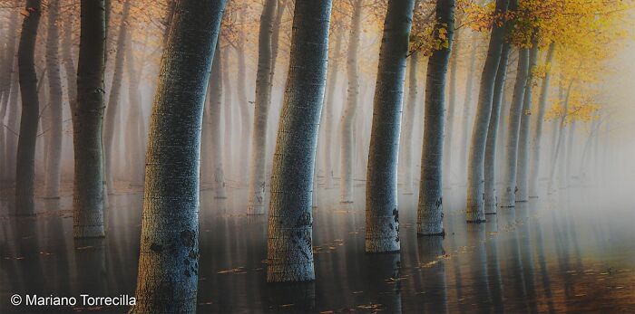 40 Mind-Blowing Panoramic Photos That Make Nature Look Like a Movie Set
