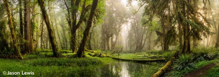 40 Mind-Blowing Panoramic Photos That Make Nature Look Like a Movie Set