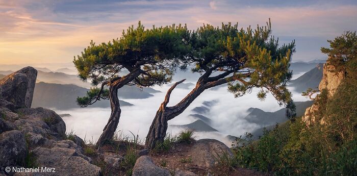 40 Mind-Blowing Panoramic Photos That Make Nature Look Like a Movie Set