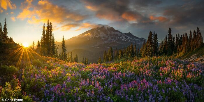 40 Mind-Blowing Panoramic Photos That Make Nature Look Like a Movie Set