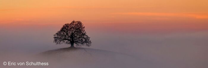 40 Mind-Blowing Panoramic Photos That Make Nature Look Like a Movie Set
