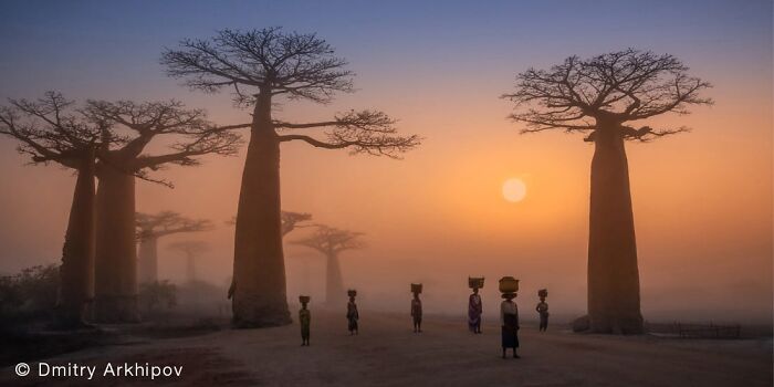 40 Mind-Blowing Panoramic Photos That Make Nature Look Like a Movie Set