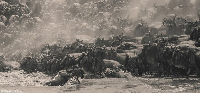 40 Mind-Blowing Panoramic Photos That Make Nature Look Like a Movie Set