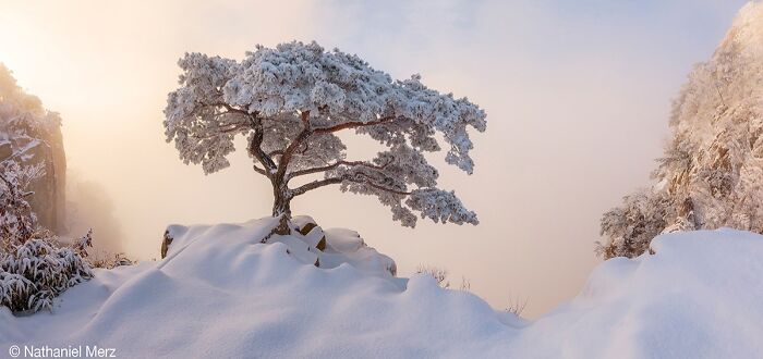 40 Mind-Blowing Panoramic Photos That Make Nature Look Like a Movie Set