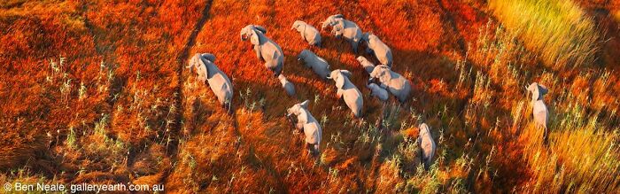 40 Mind-Blowing Panoramic Photos That Make Nature Look Like a Movie Set