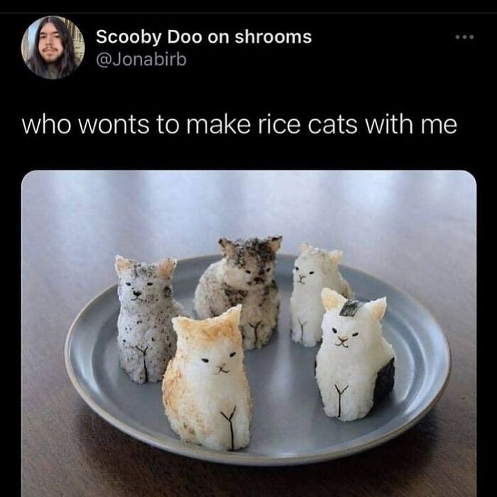 50 Cat Memes That Totally Look Like They Were Made By Sleep-Deprived Internet Wizards