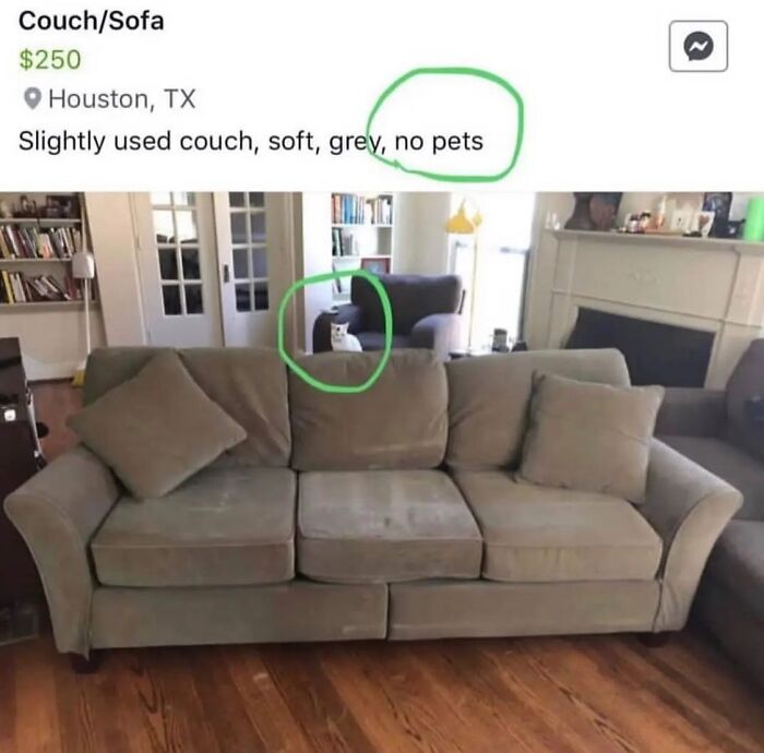 50 Cat Memes That Totally Look Like They Were Made By Sleep-Deprived Internet Wizards
