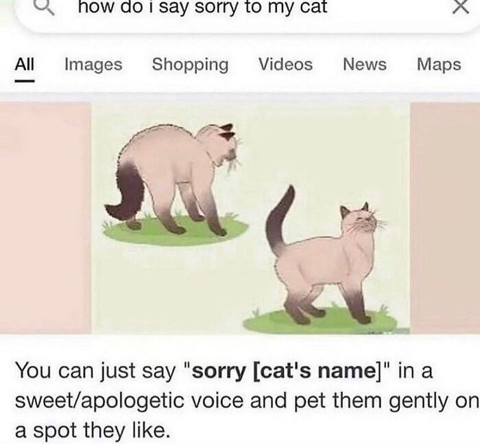 50 Cat Memes That Totally Look Like They Were Made By Sleep-Deprived Internet Wizards