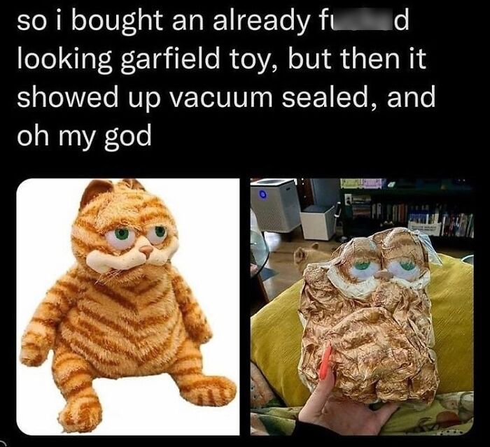50 Cat Memes That Totally Look Like They Were Made By Sleep-Deprived Internet Wizards