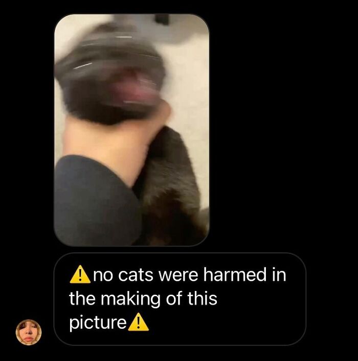 50 Cat Memes That Totally Look Like They Were Made By Sleep-Deprived Internet Wizards