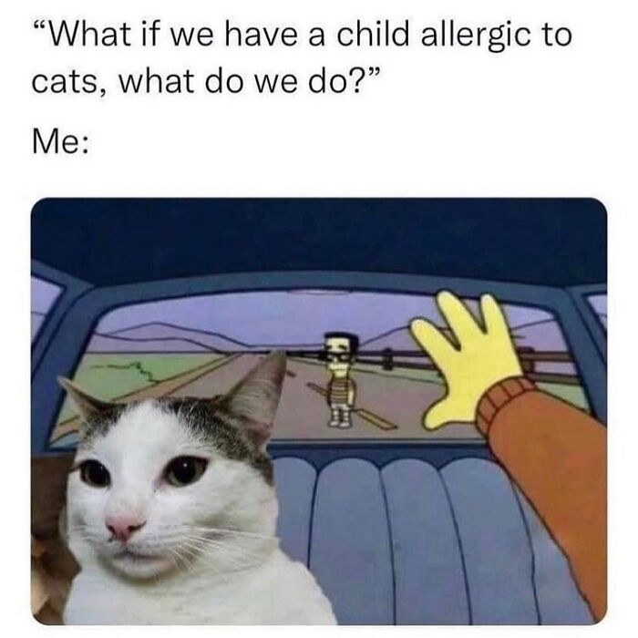 50 Cat Memes That Totally Look Like They Were Made By Sleep-Deprived Internet Wizards