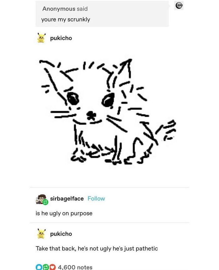 50 Cat Memes That Totally Look Like They Were Made By Sleep-Deprived Internet Wizards