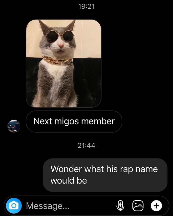 50 Cat Memes That Totally Look Like They Were Made By Sleep-Deprived Internet Wizards