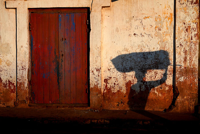 Margo Ryan’s ‘Madagascar Dreaming’ Splash with Rouge