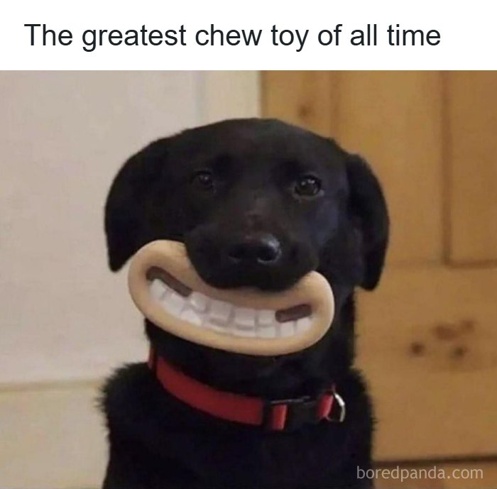 Get Ready to Laugh: 41 Memes That Are So Wild, You'll Totally Forget Everything!