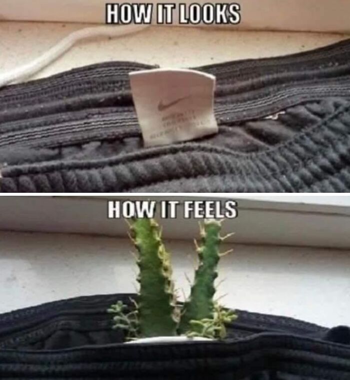 Get Ready to Laugh: 41 Memes That Are So Wild, You'll Totally Forget Everything!