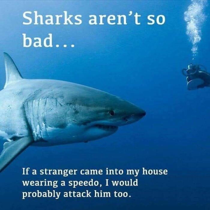 Get Ready to Laugh: 41 Memes That Are So Wild, You'll Totally Forget Everything!