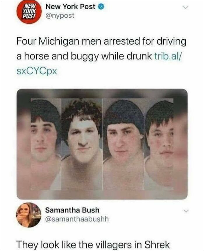 Get Ready to Laugh: 41 Memes That Are So Wild, You'll Totally Forget Everything!