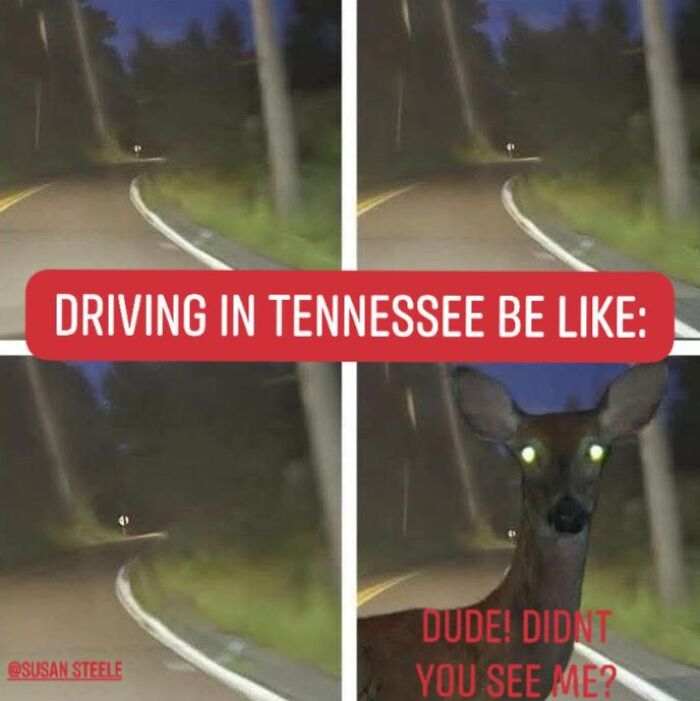 Get Ready to Laugh: 41 Memes That Are So Wild, You'll Totally Forget Everything!