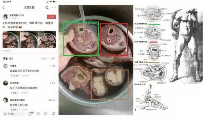 Human Meat On Social Media? Nope, Just Pig Meat and Anatomy Similarities