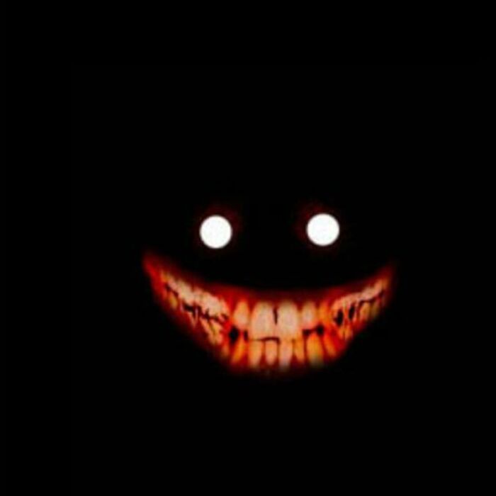 That Image You’ve Seen for 10 Years? Probably an Edit of ‘Smile Dog’
